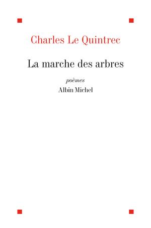 image-description