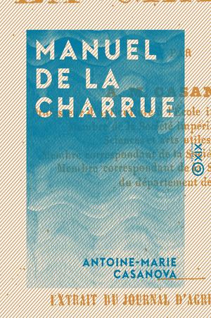 image-description