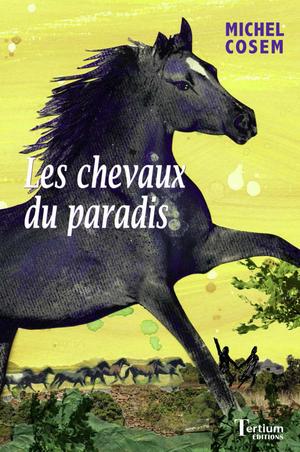 Couverture de livre