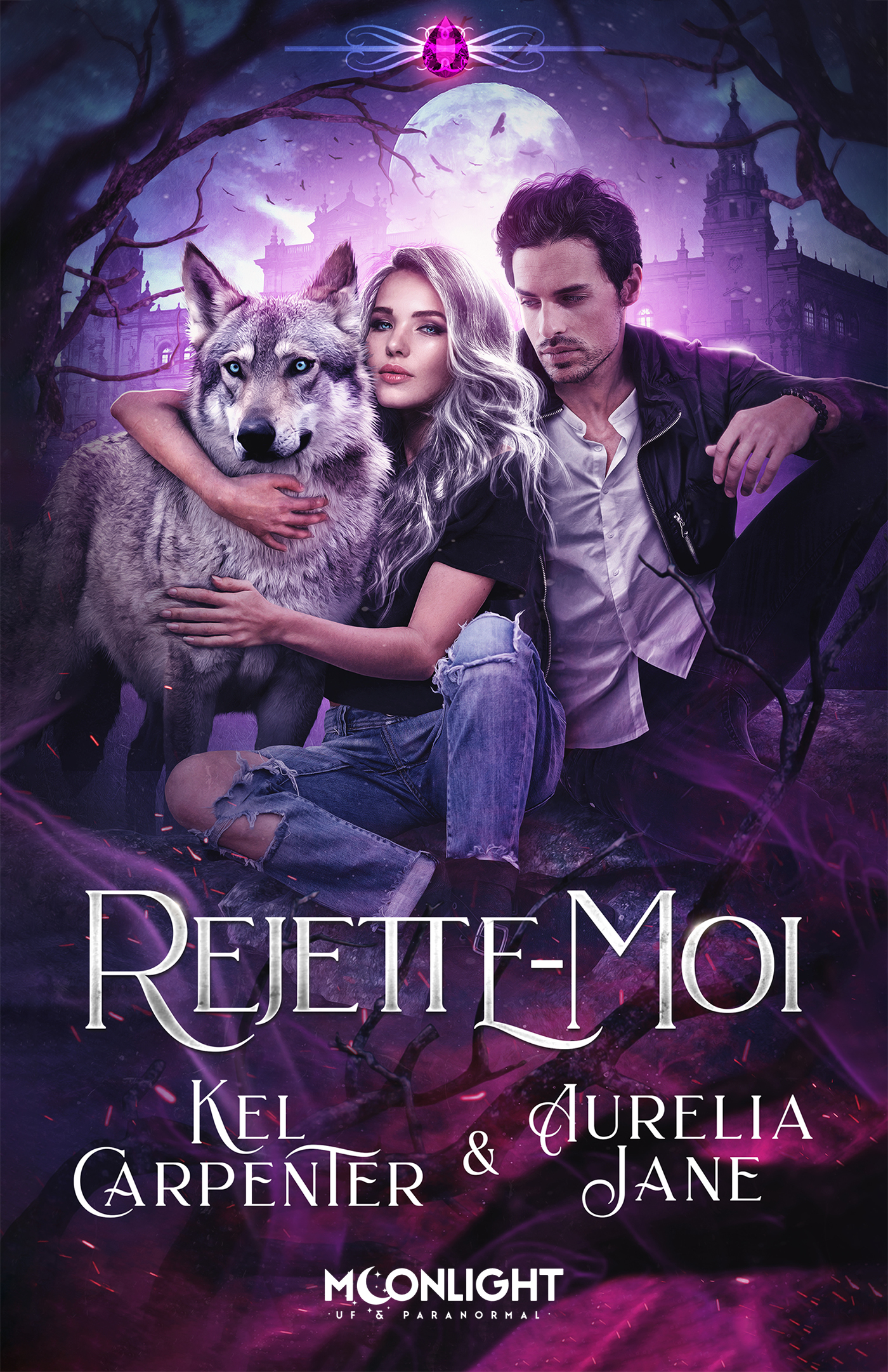 Couverture de livre